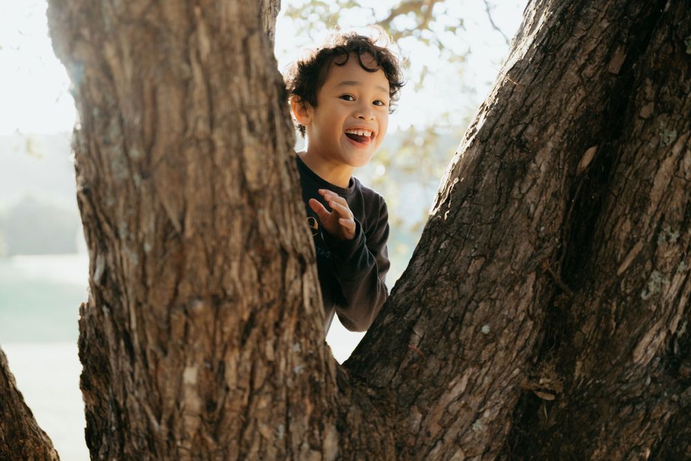 Playful child peeks out from between two large tree trunks while laughing joyfully in a sunlit outdoor setting.