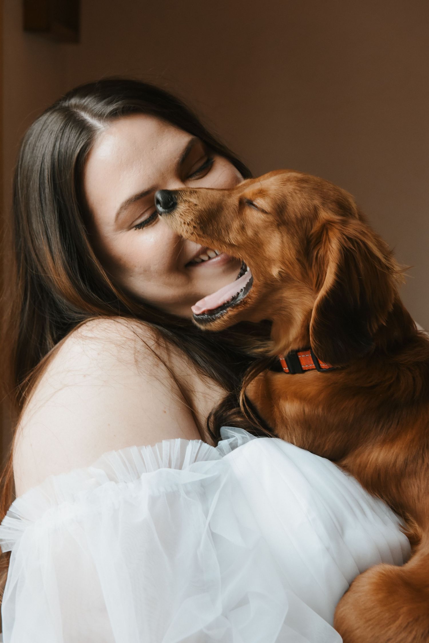 A loving moment between a Golden Retriever and someone wearing white, as they share an intimate nose-to-nose connection.
