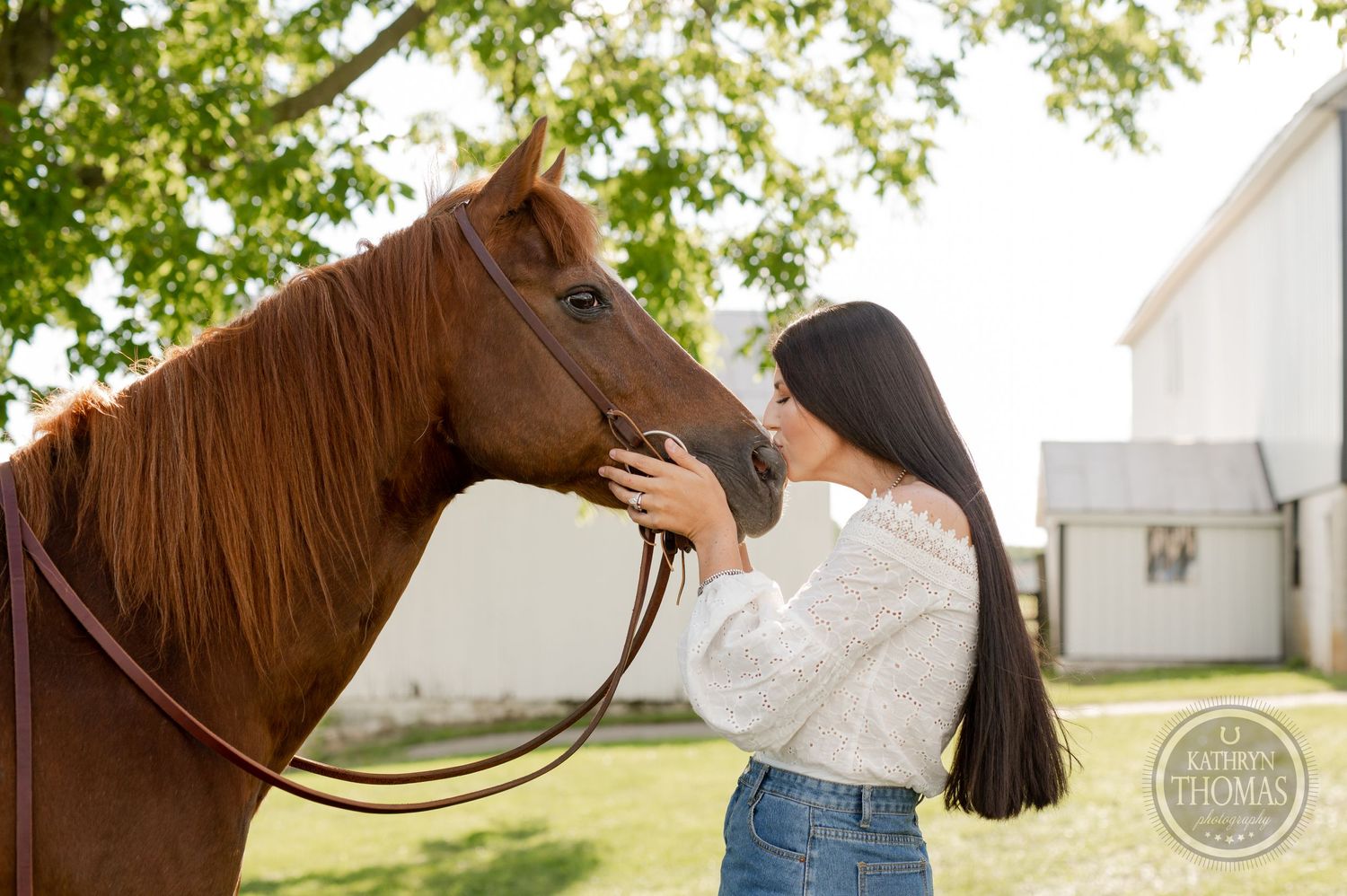 A gentle moment between a chestnut horse and its caretaker on a sunny farm day.