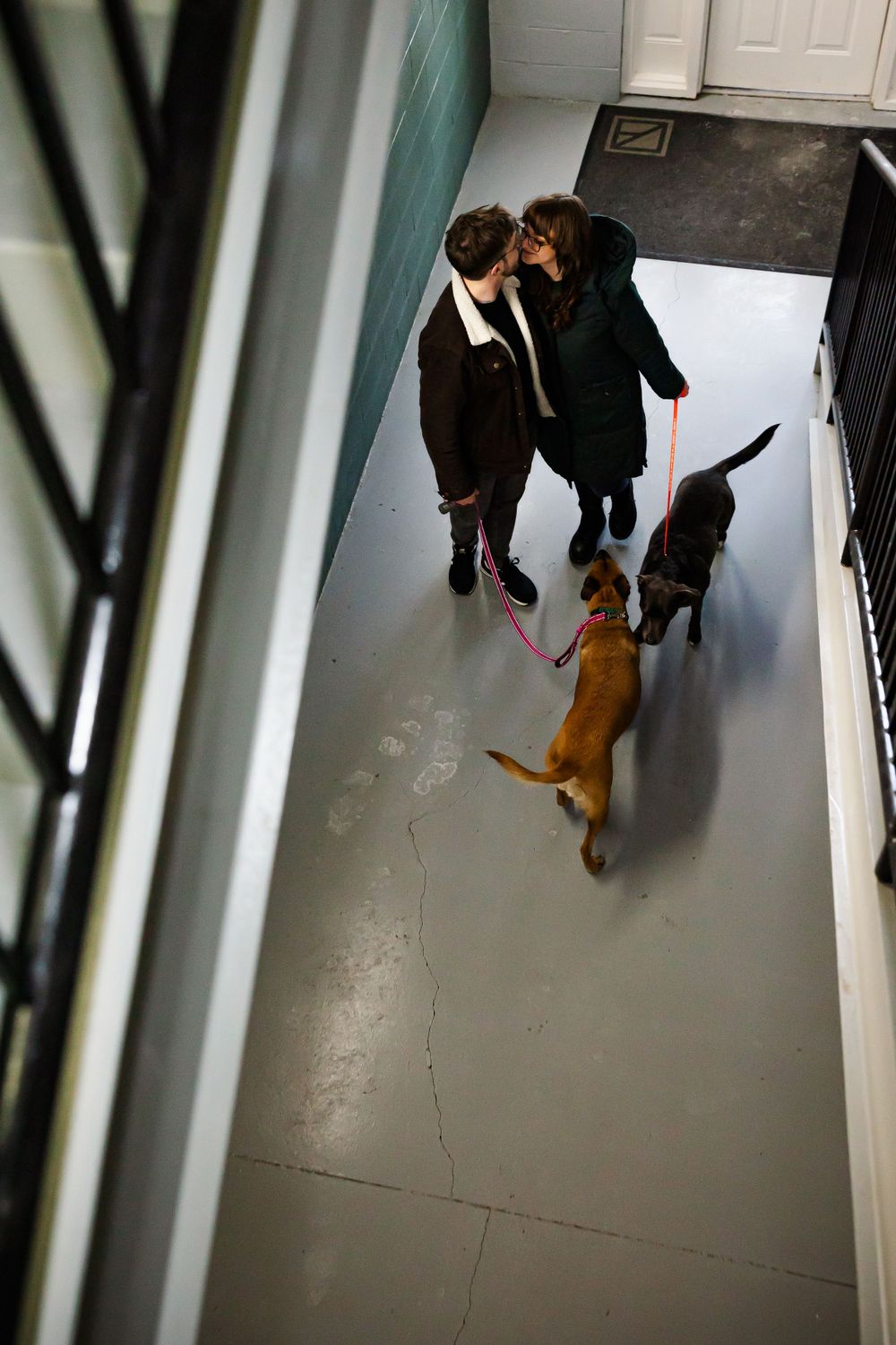 Overhead view of couple walking dogs down a hallway.