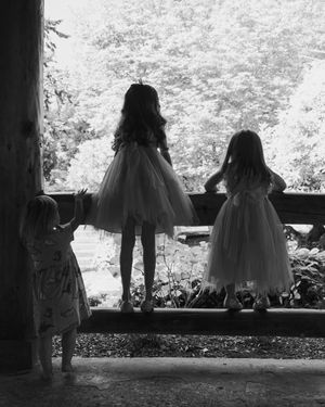 Silhouetted figures of small children in tutus standing by a railing looking out at nature.
