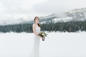 Wedding portrait with snow-covered mountains and forest in background.