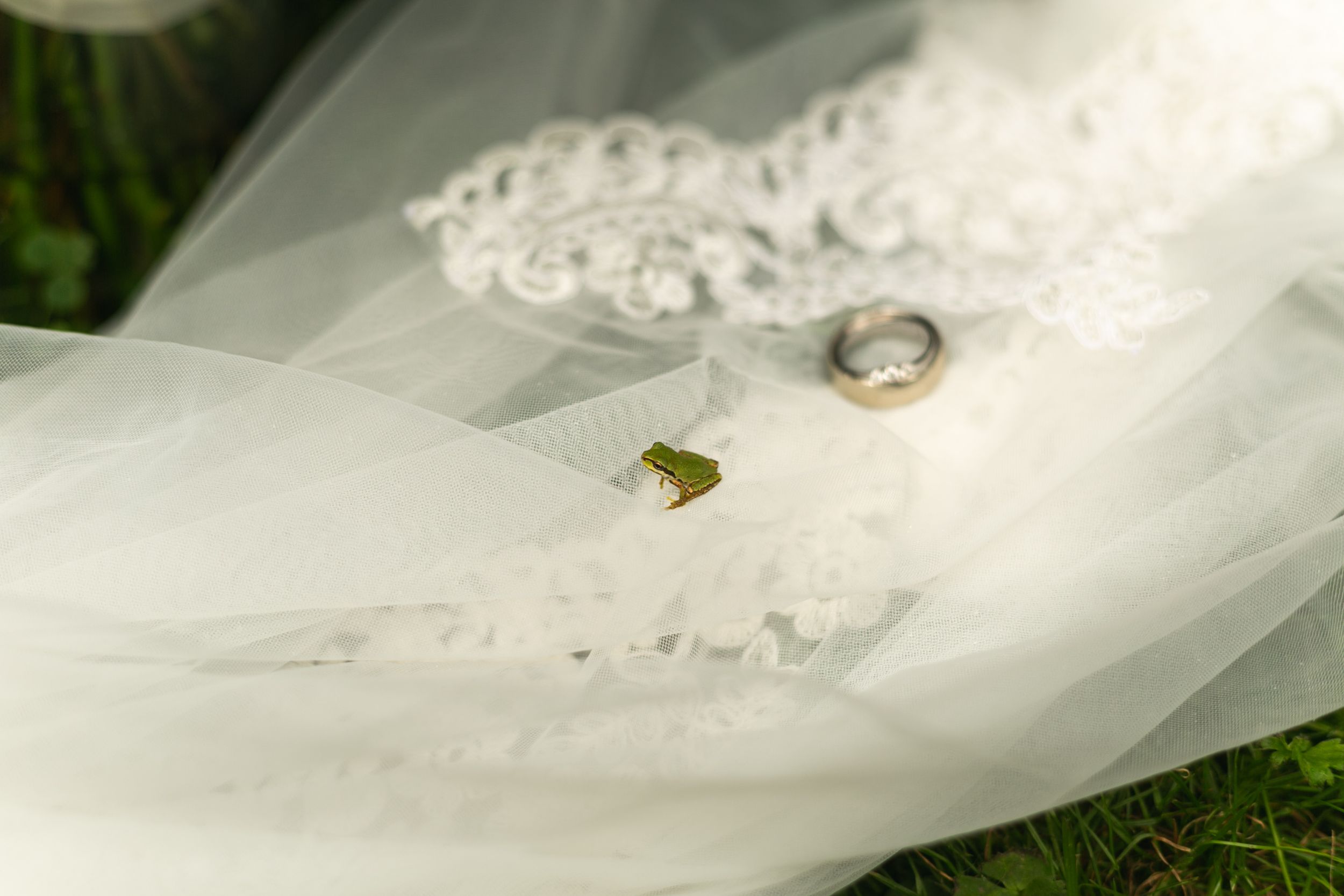 Wedding rings resting delicately on white lace veil in natural outdoor setting.