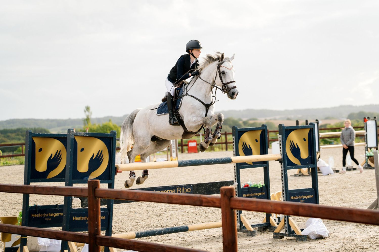 Fresia Visuals Equine