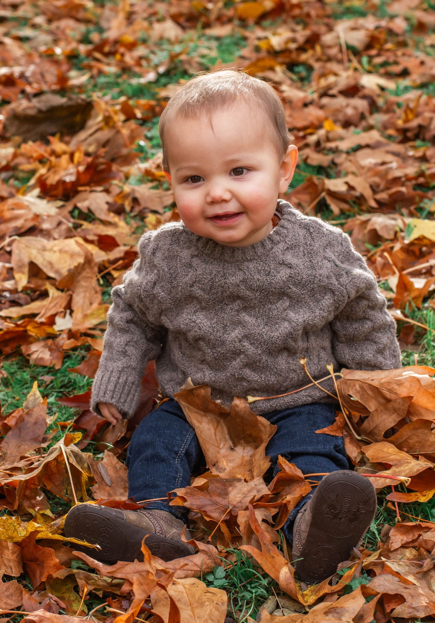 A small child sits among scattered autumn leaves while wearing a gray sweater and blue pants on green grass.