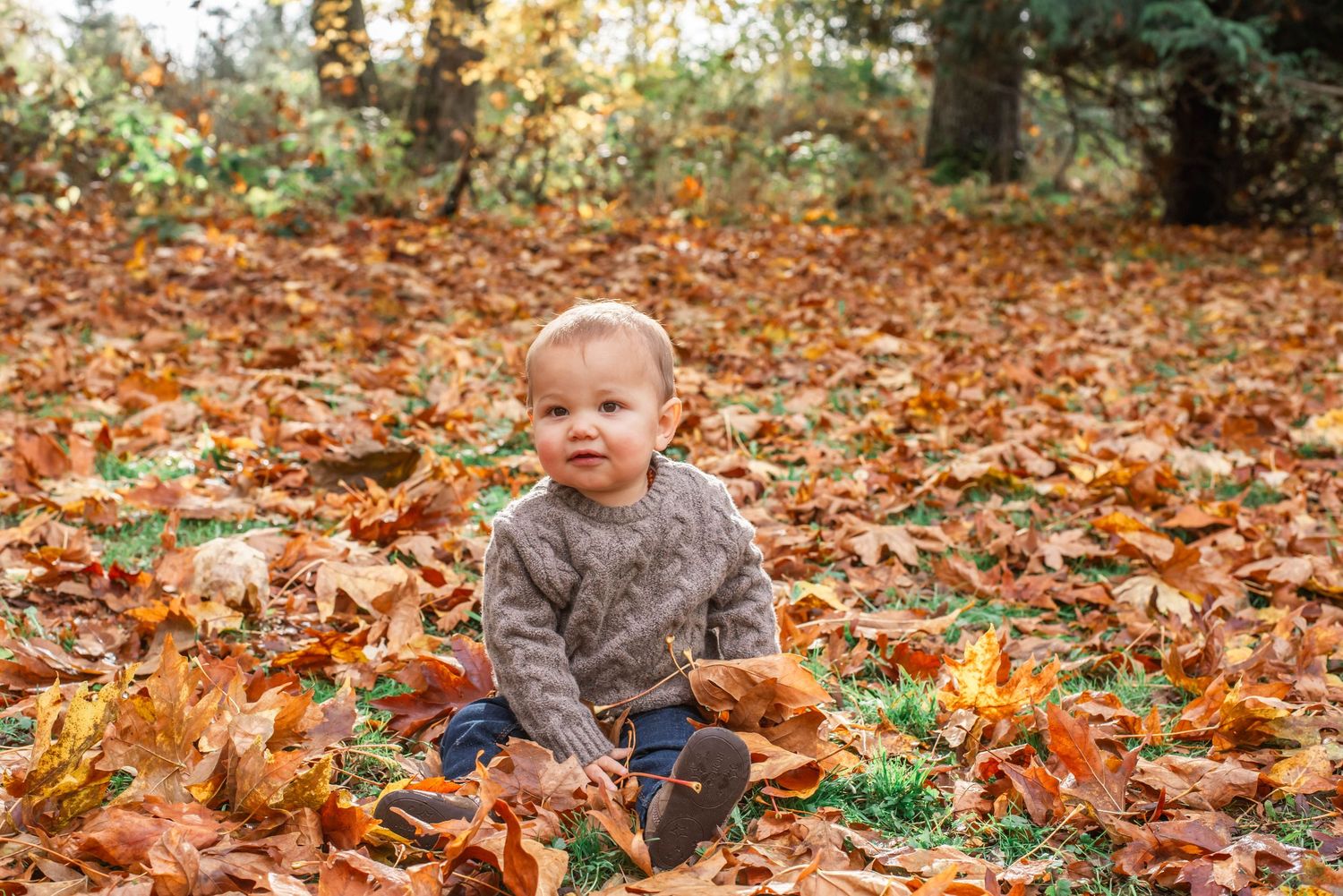 Child plays in a pile of colorful autumn leaves during a fall day in the park.