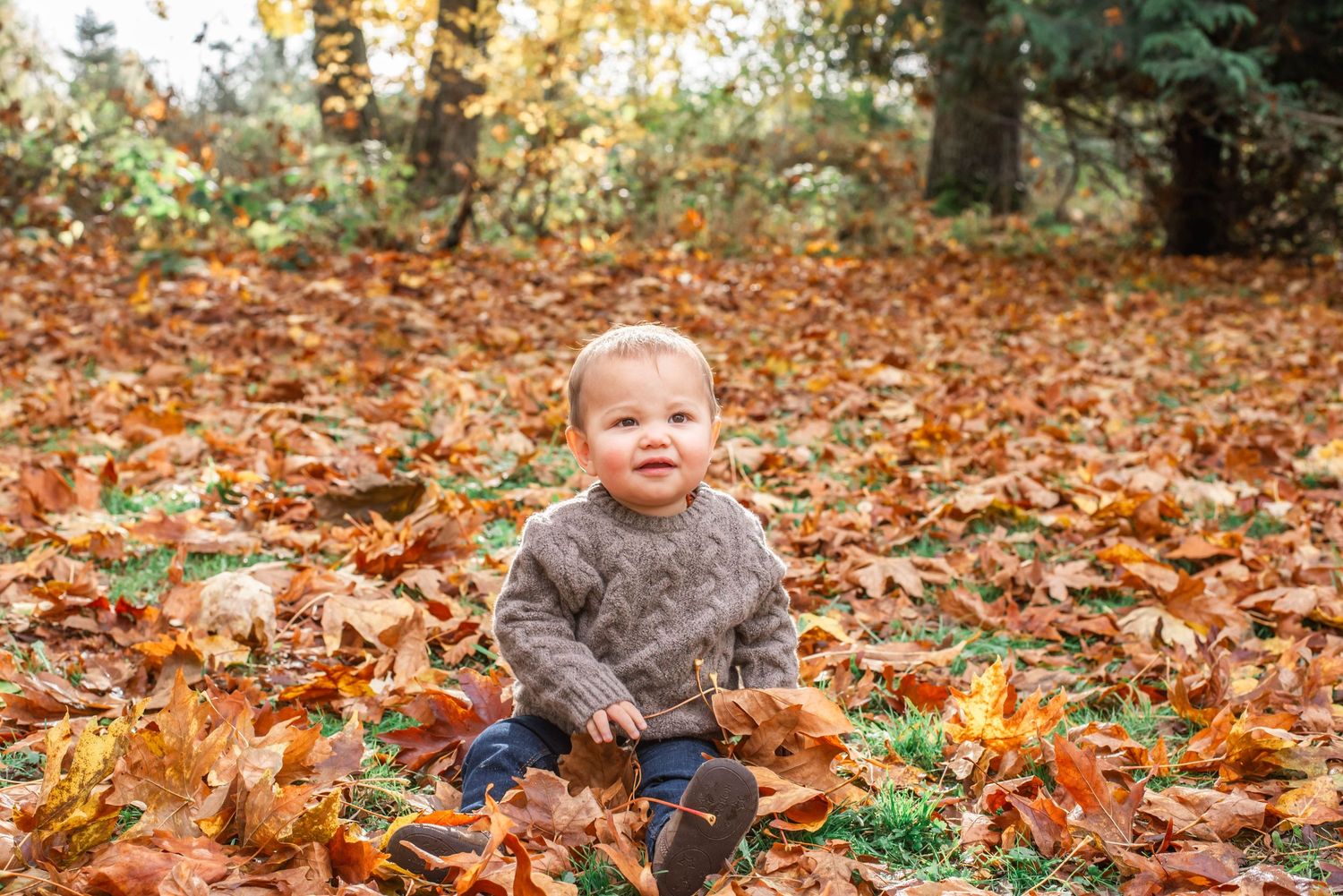 A child plays in a pile of colorful autumn leaves on a sunny fall day in a wooded area.