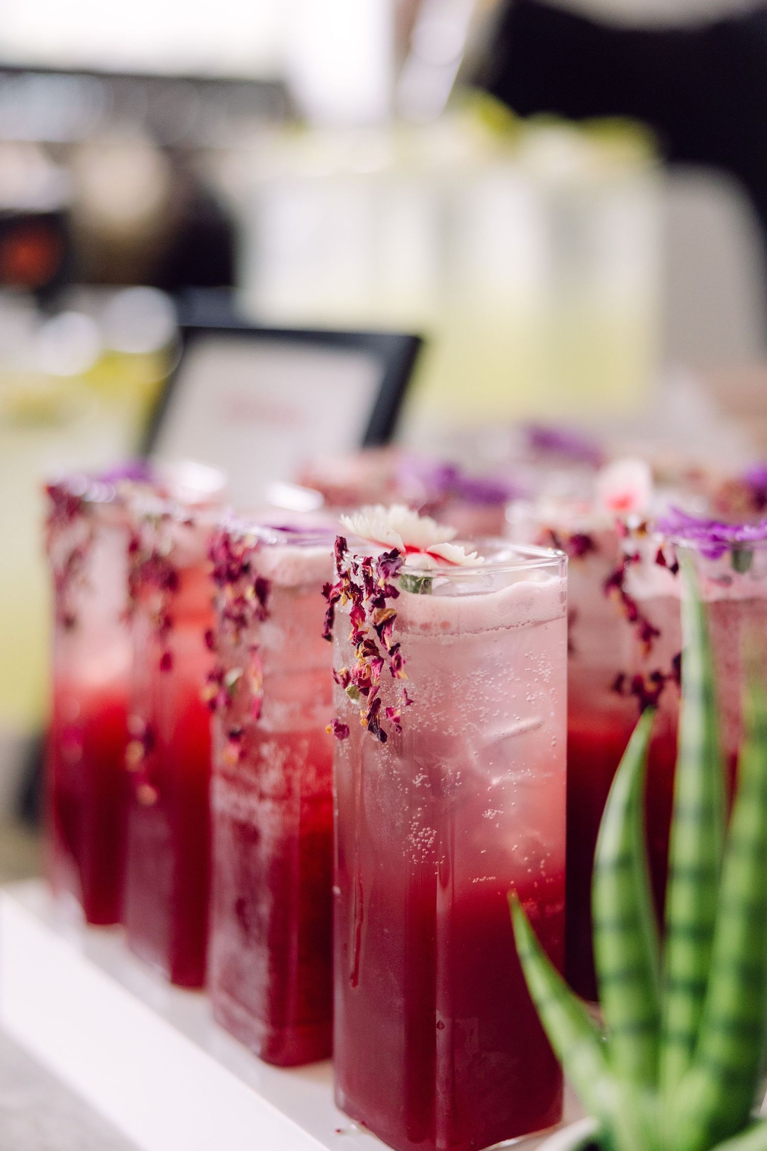 Pink cocktails with black garnish lined up in glasses with green accents at a catered event.