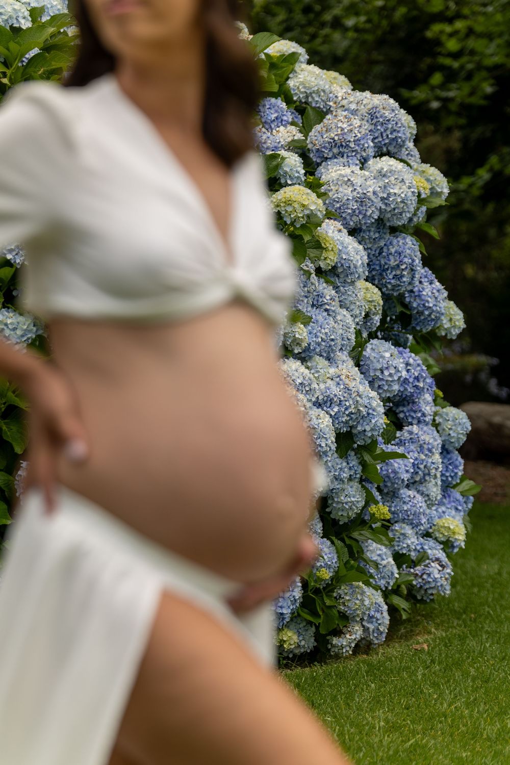 Maternity photo showing pregnant belly against backdrop of blooming blue hydrangea bushes in garden setting.