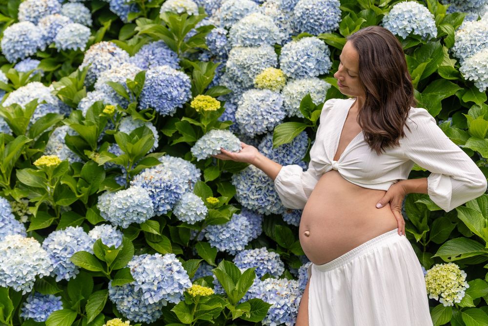 Beautiful blooming blue hydrangea flowers in a garden with lush green foliage.
