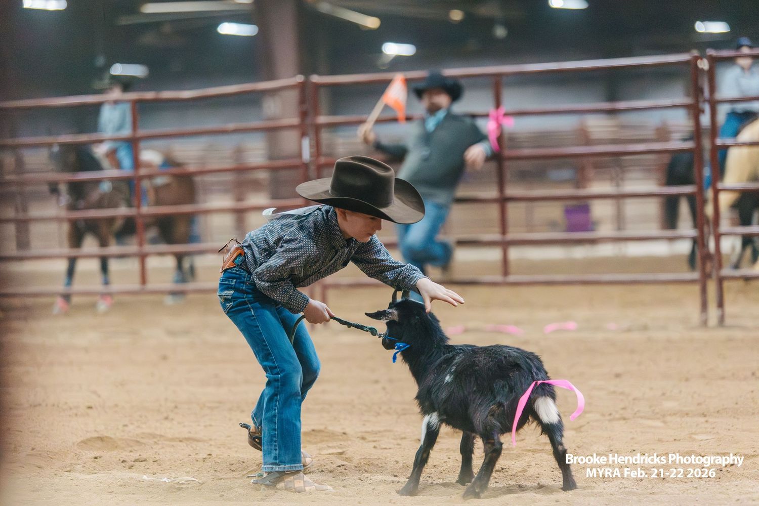 A boy is chasing a goat to get the ribbon off the goats tail.
