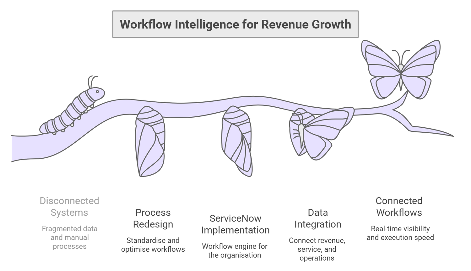 Workflow intelligence butterfly metamorphosis diagram showing stages from disconnected systems to connected workflows.