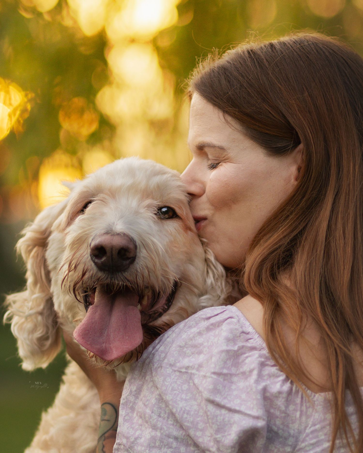 human-dog-photoshoot
dog-portrait-photoshoot