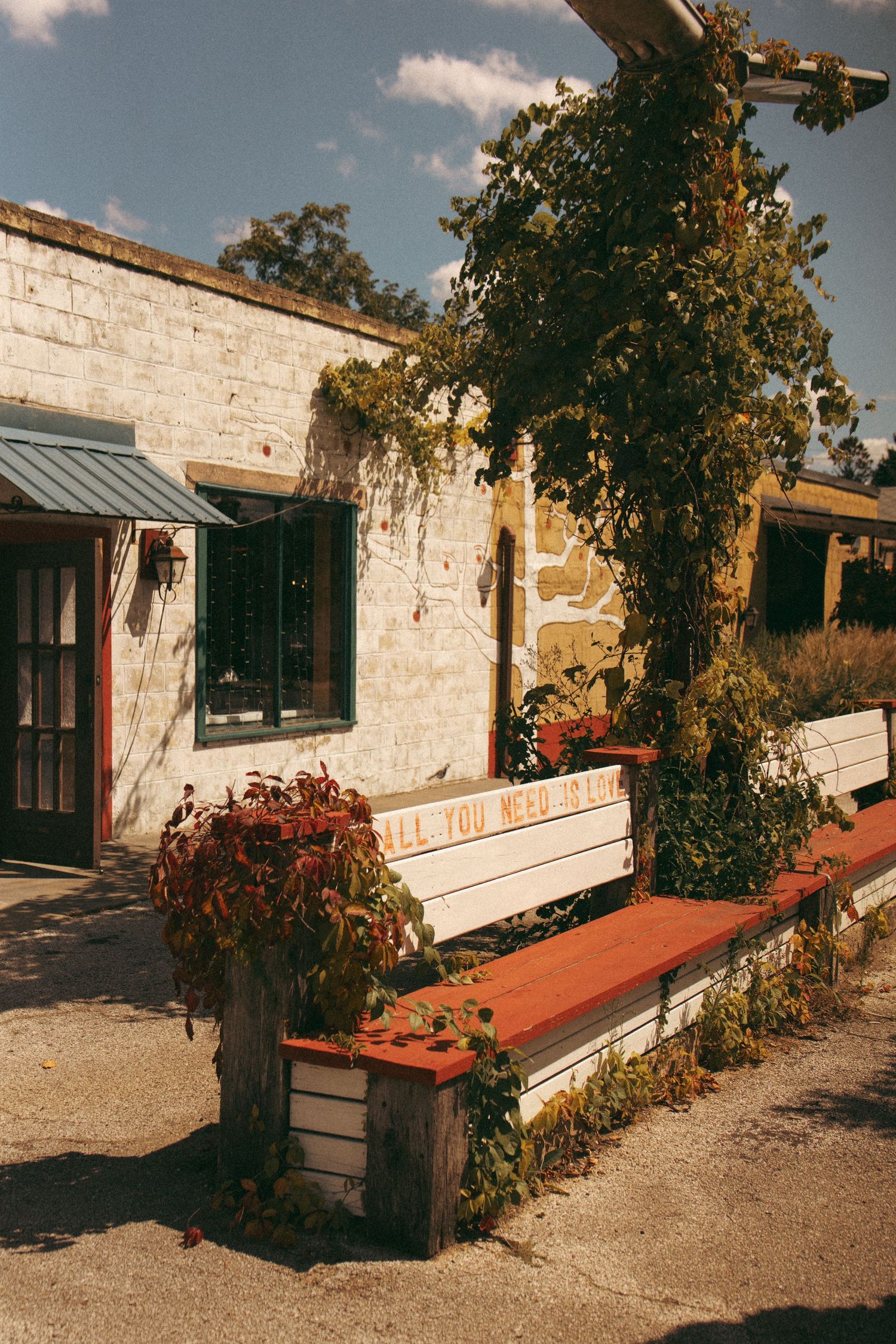 Rustic white brick building exterior with a bench reading All You Need Is Love and climbing vines.