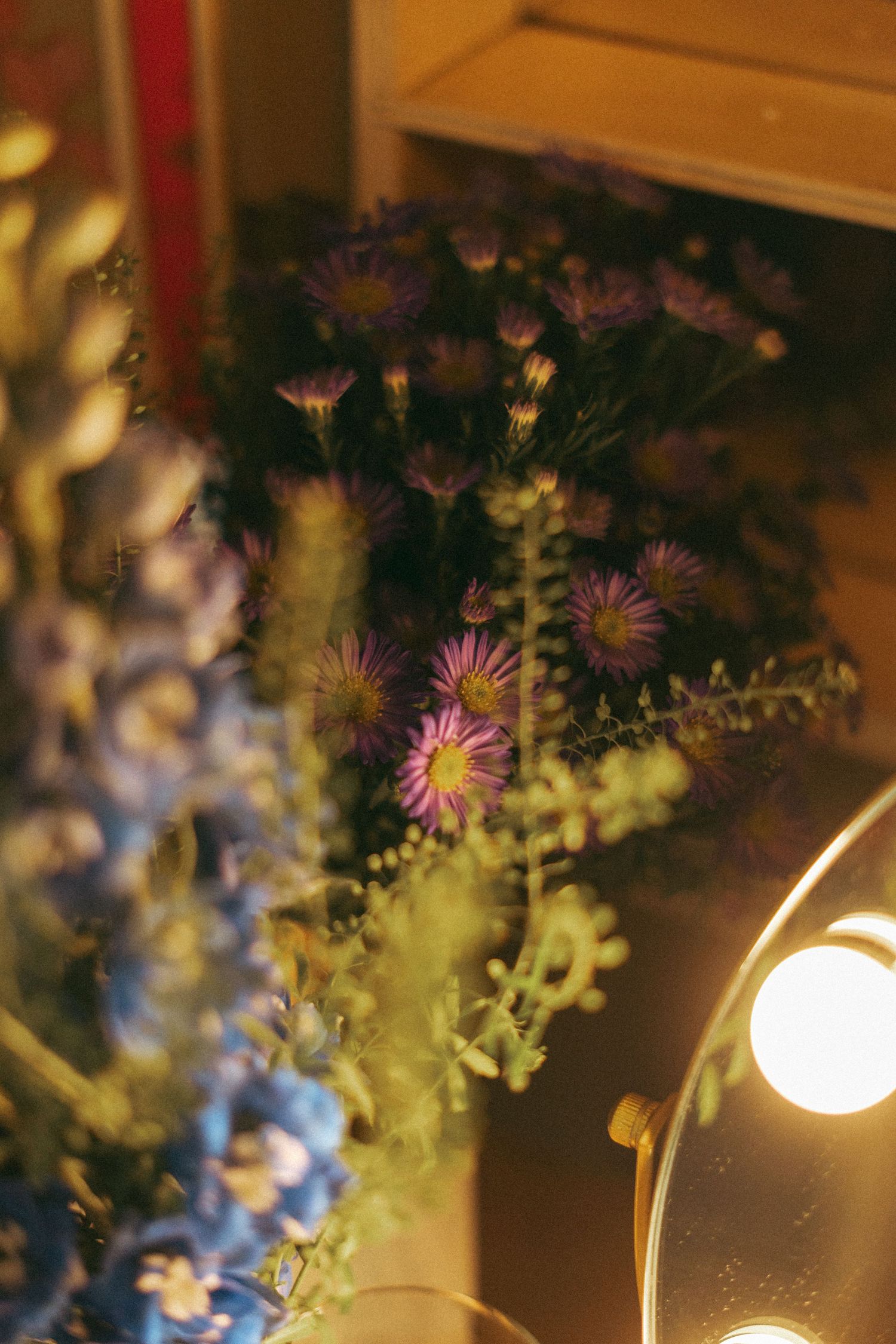 Arrangement of purple aster flowers and blue blooms illuminated by warm light in a floral display.