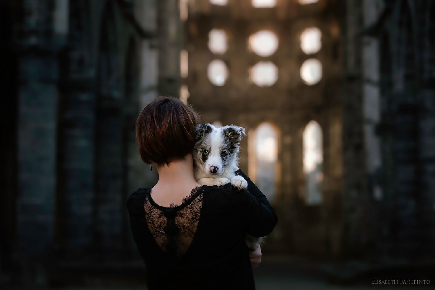 Photographe chiots en Belgique