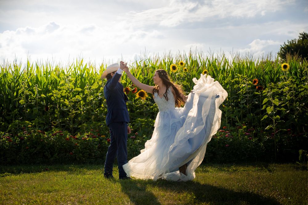 A couple in wedding attire walks through a lush green cornfield on their special day.