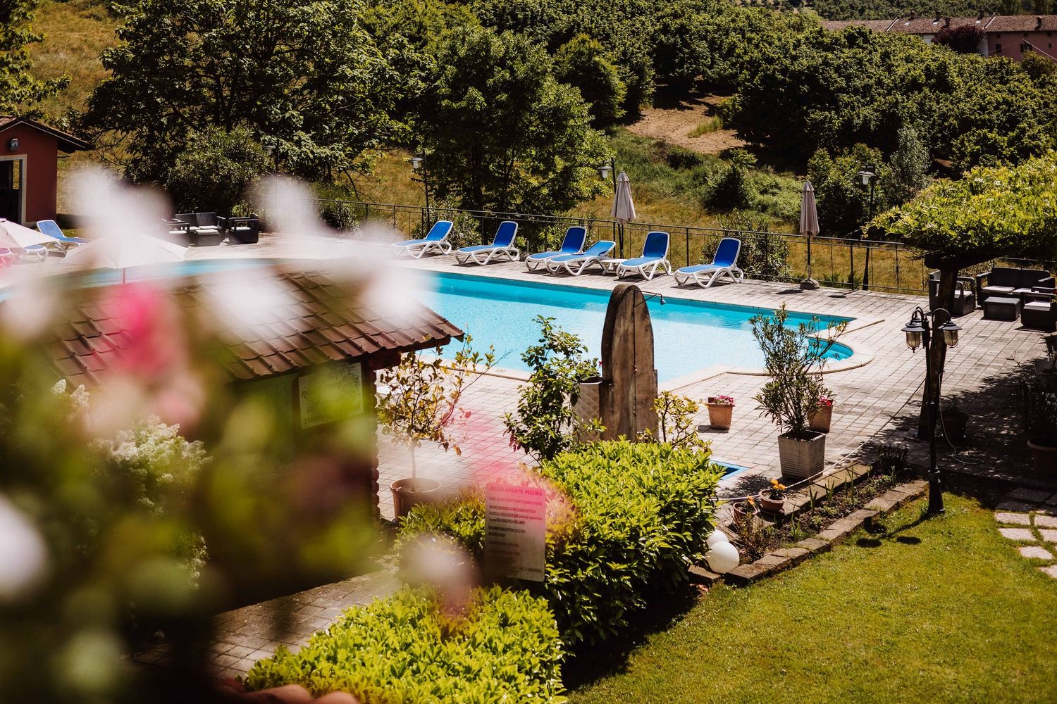 Lush garden landscape with swimming pool and lounge chairs surrounded by blooming flowers and green foliage.