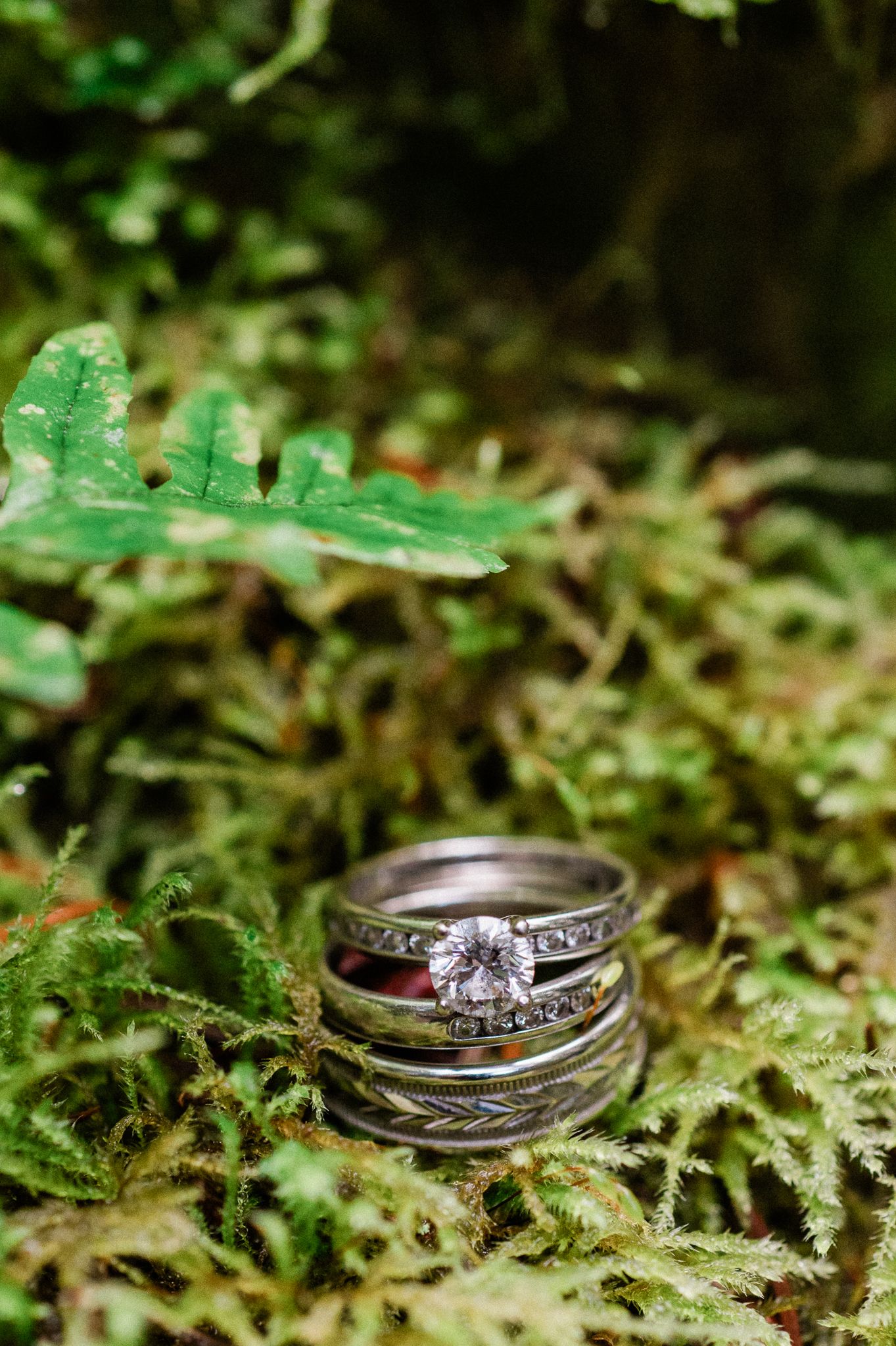 wedding rings on wet moss. Photo by Pine + Vow, a Bainbridge Island Elopement Photographer.