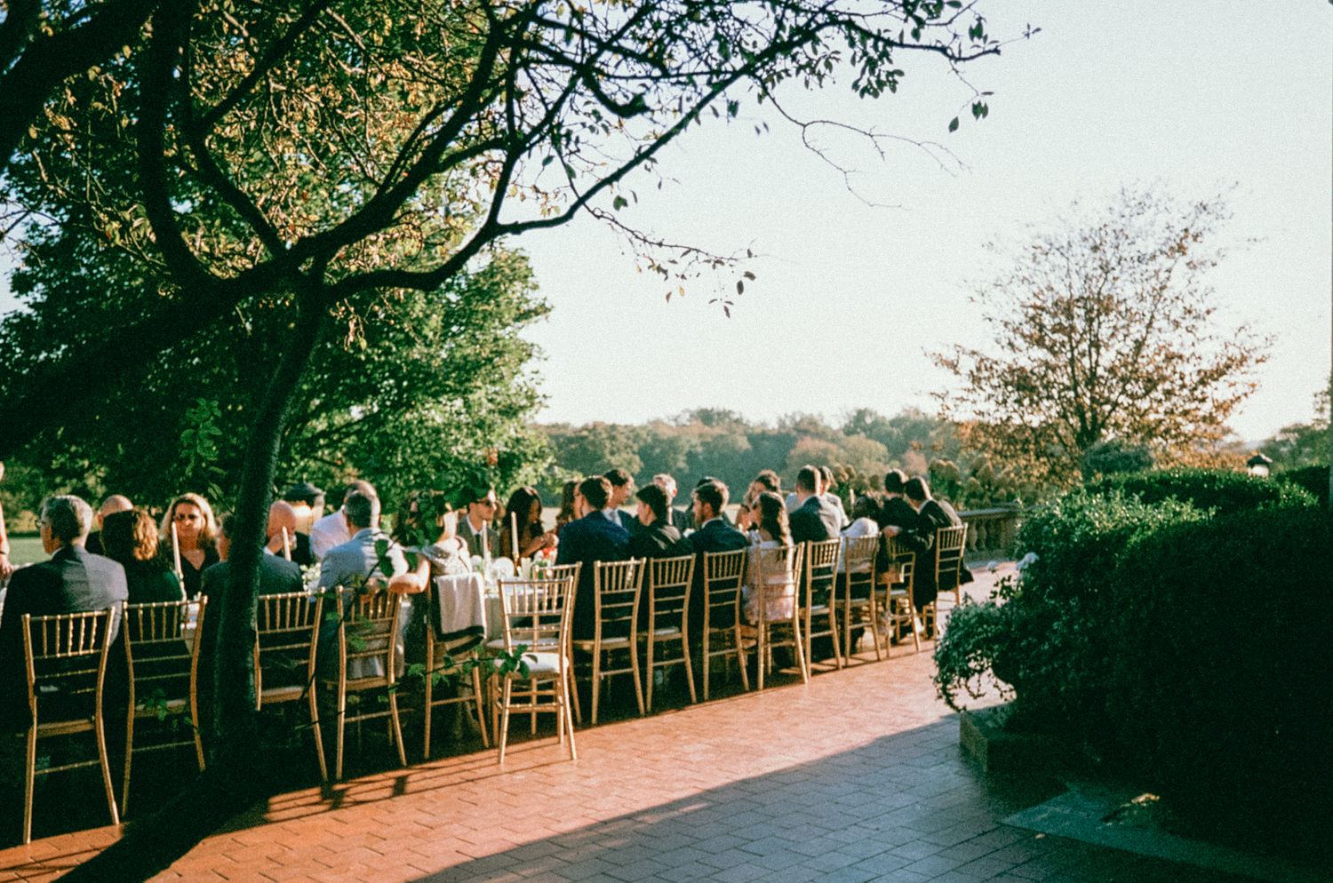Rows of empty gold chiavari chairs set up outdoors at sunset for an elegant wedding ceremony.