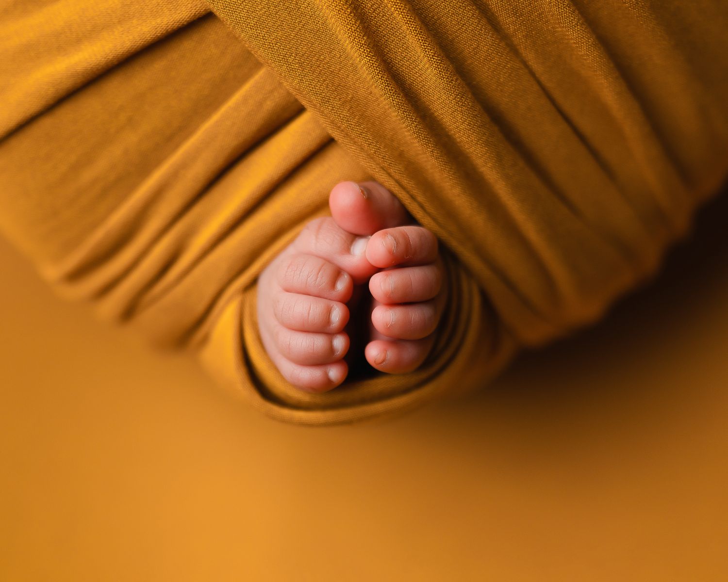 Newborn photography studio located in between Atlanta, Georgia and Birmingham, Alabama with full service photo studio.
