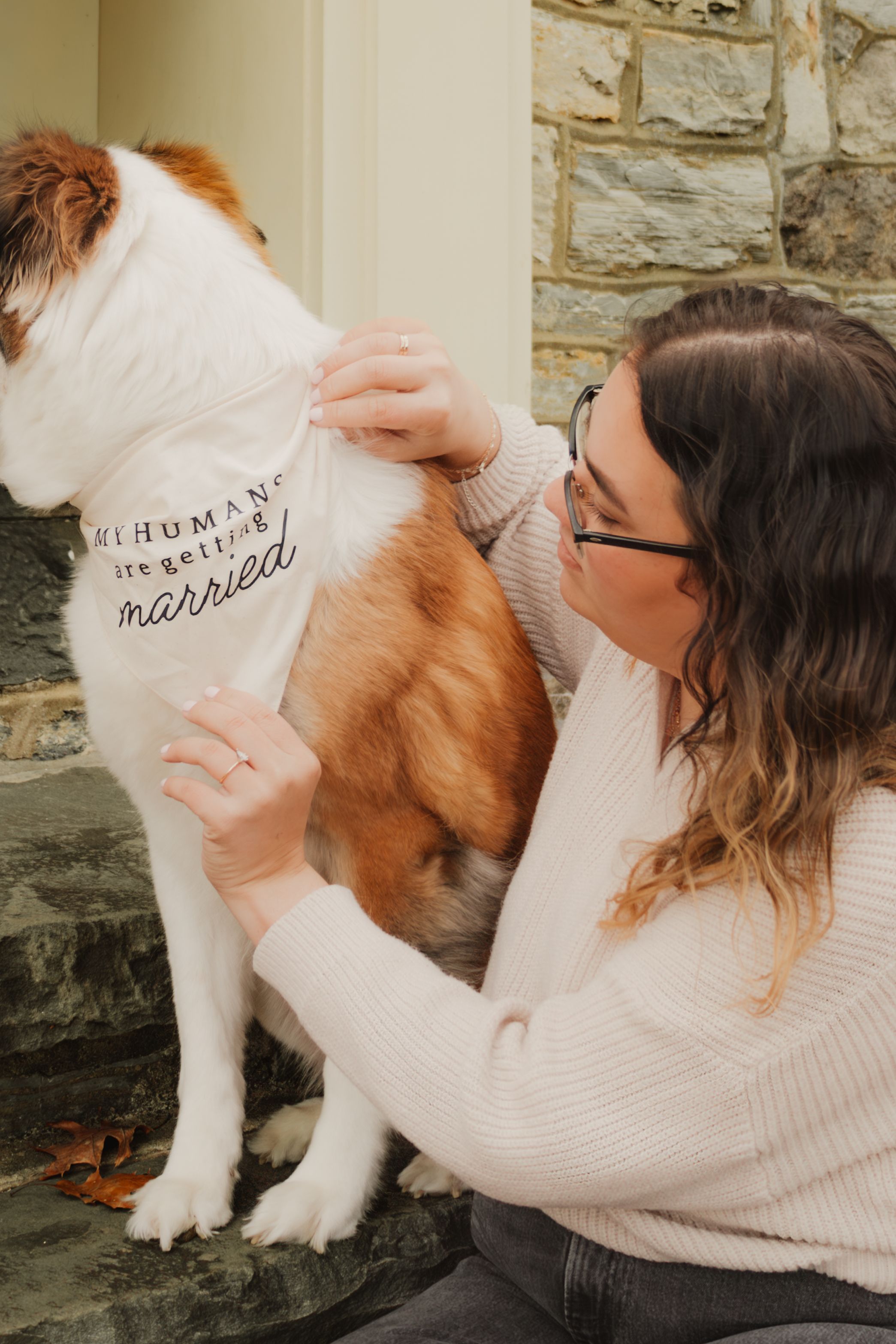 A brown and white dog wearing a white sweater with text embroidery is being held and petted.