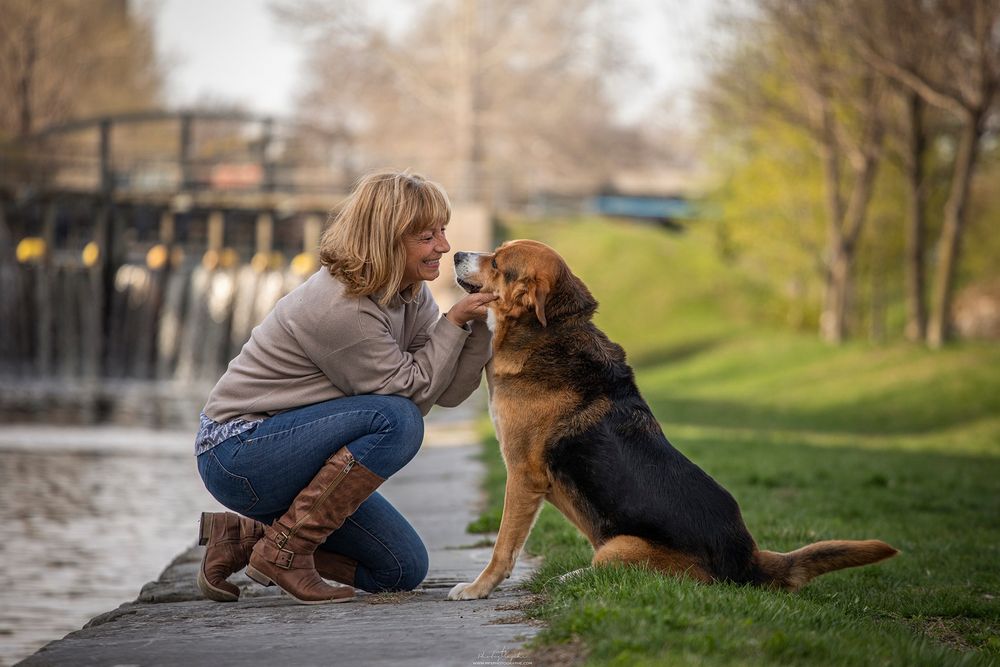 human-dog-photoshoot
dog-portrait-photoshoot
senior-dog-photoshoot
rainbow-bridge-photoshoot