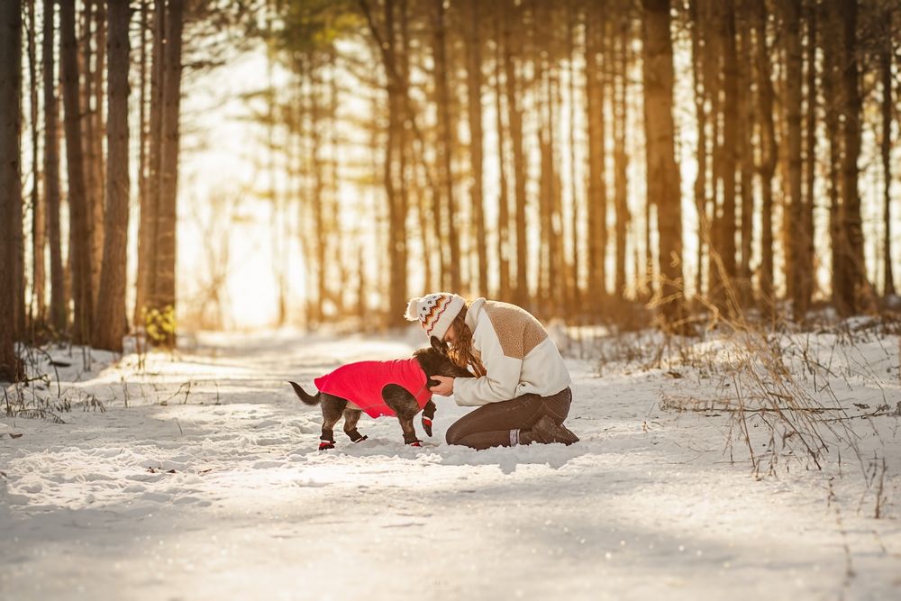 human-dog-photoshoot
dog-portrait-photoshoot
senior-dog-photoshoot
rainbow-bridge-photoshoot