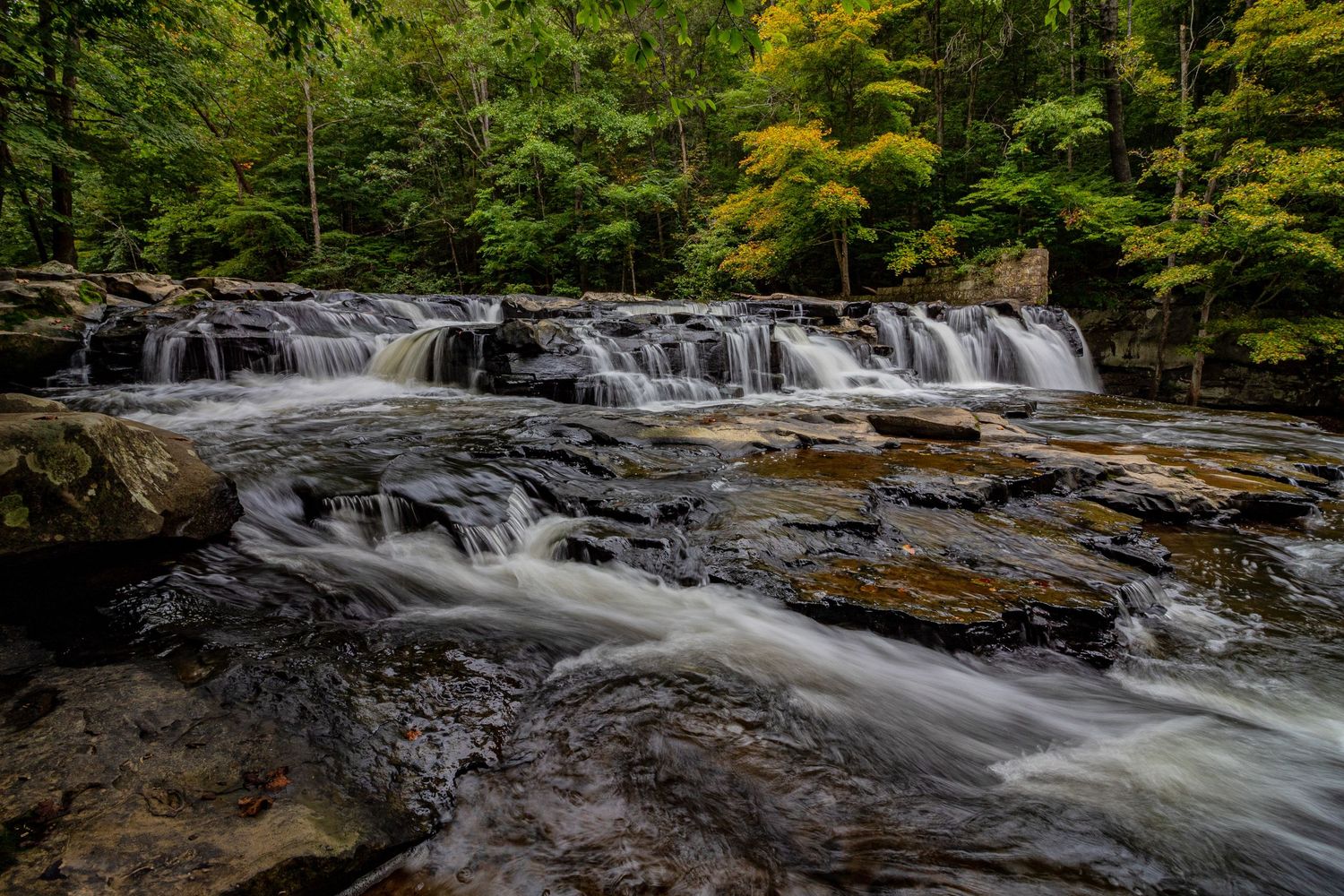 Cascading waterfall flowing over rocky terrain in a lush green forest setting.