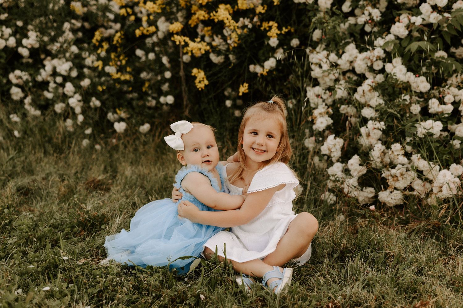 Sweet family moment captured in a field of white daisies during golden hour.