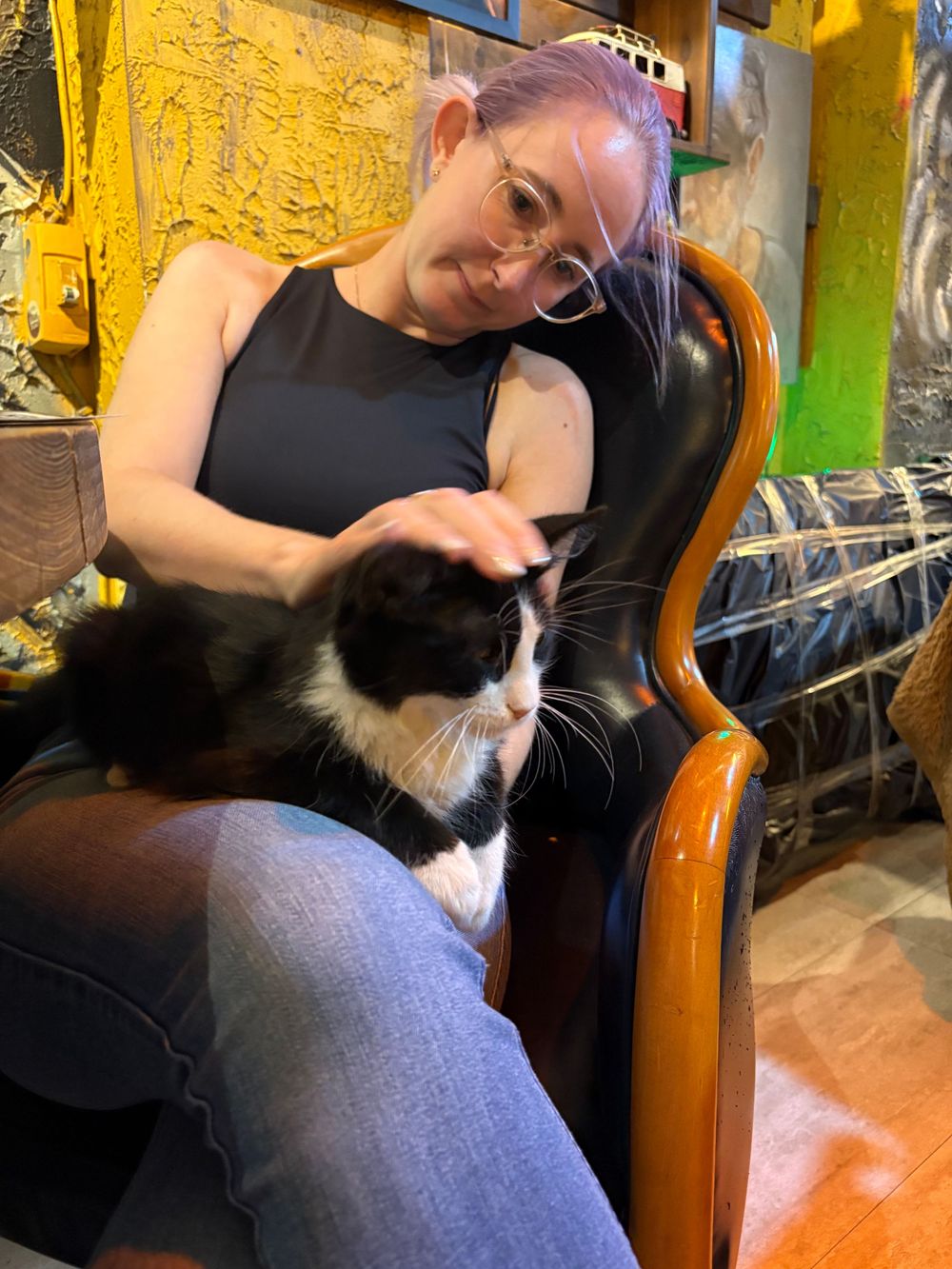 A black and white tuxedo cat relaxes on a gray couch while receiving pets from someone wearing a black shirt.