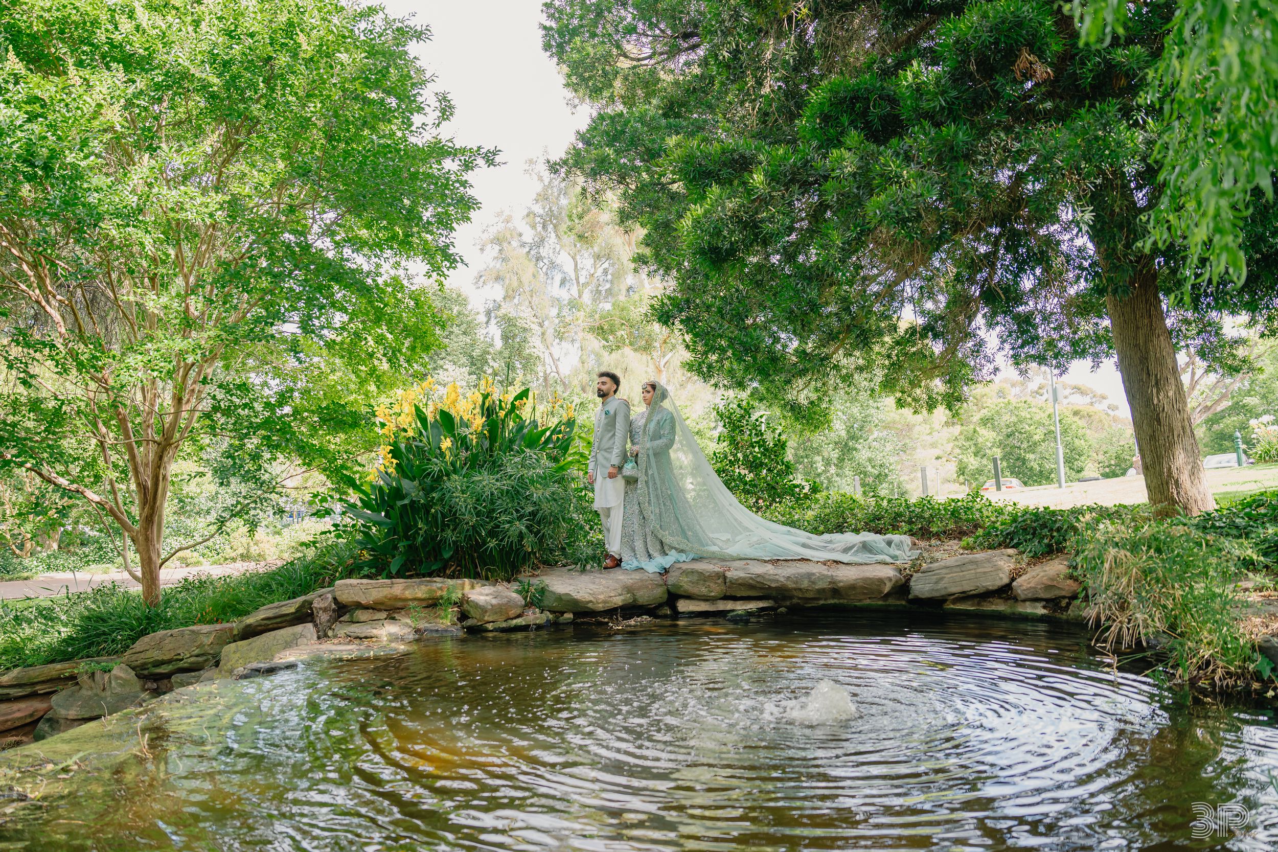 A serene creek flows through lush greenery with sunlight filtering through overhanging trees and branches.