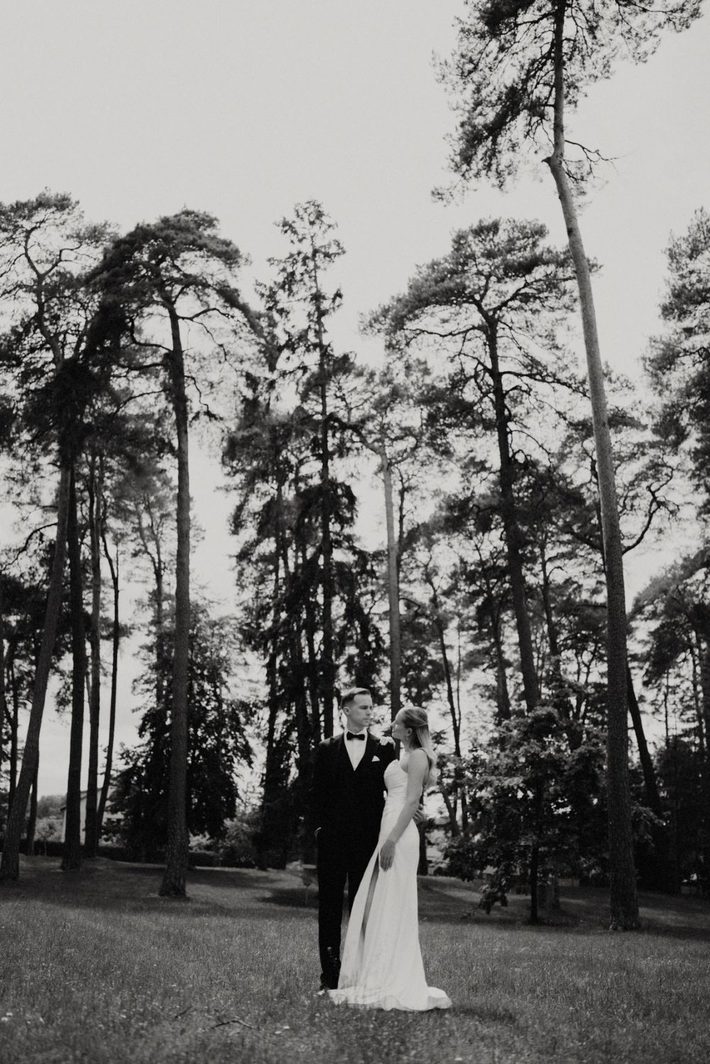 Black and white wedding photo of couple standing beneath towering pine trees.