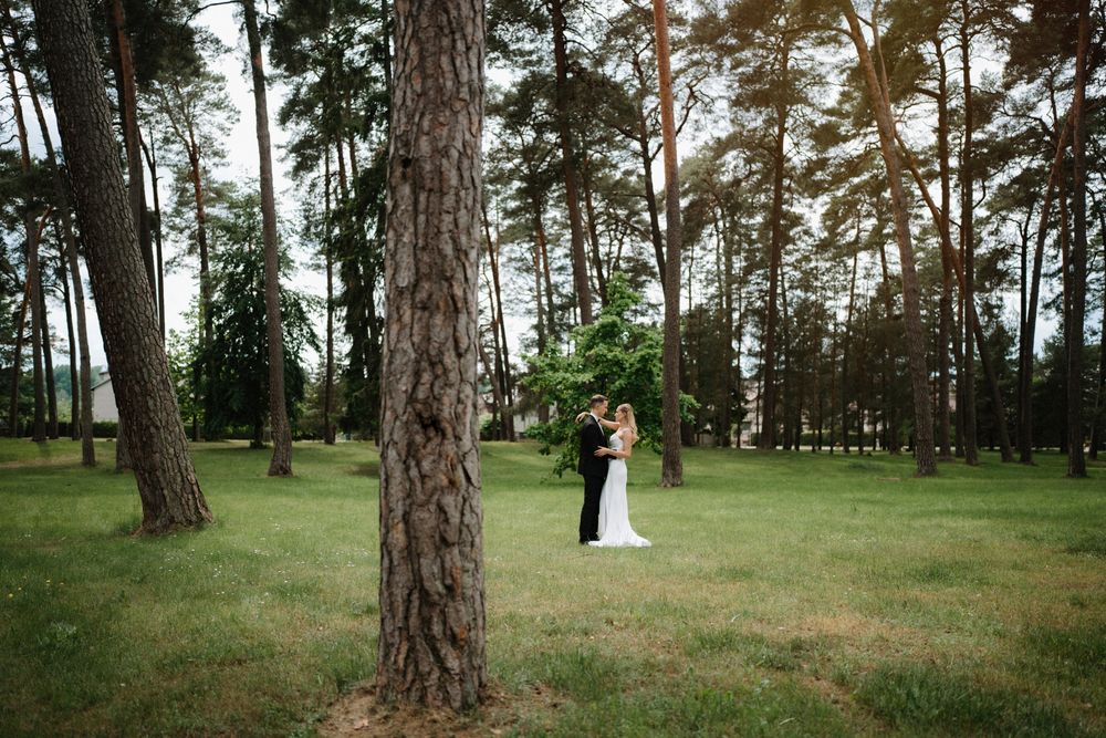 Wedding couple shares intimate moment among tall pine trees in forest setting.