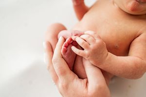 Colorful close-up series showing tender moments between parent's hands and newborn baby.