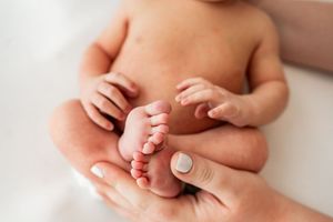 Tiny newborn baby feet being gently held by adult hands against a white background.