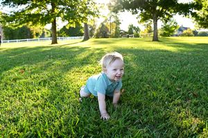 Knoxville Family Photographer
Tennessee Family Photographer
Knoxville, Tennessee Family Photographer
Courtney Haskins
Courtney Renee Images