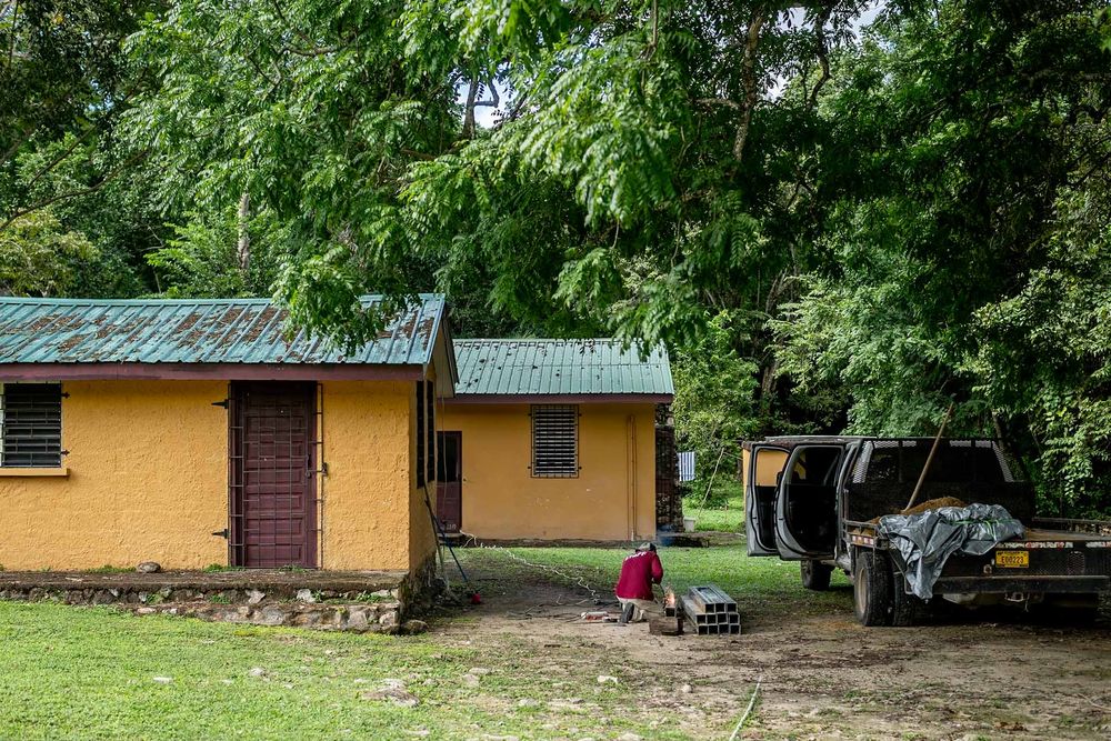 Row of rustic yellow cabins with brown roofs nestled among green trees.