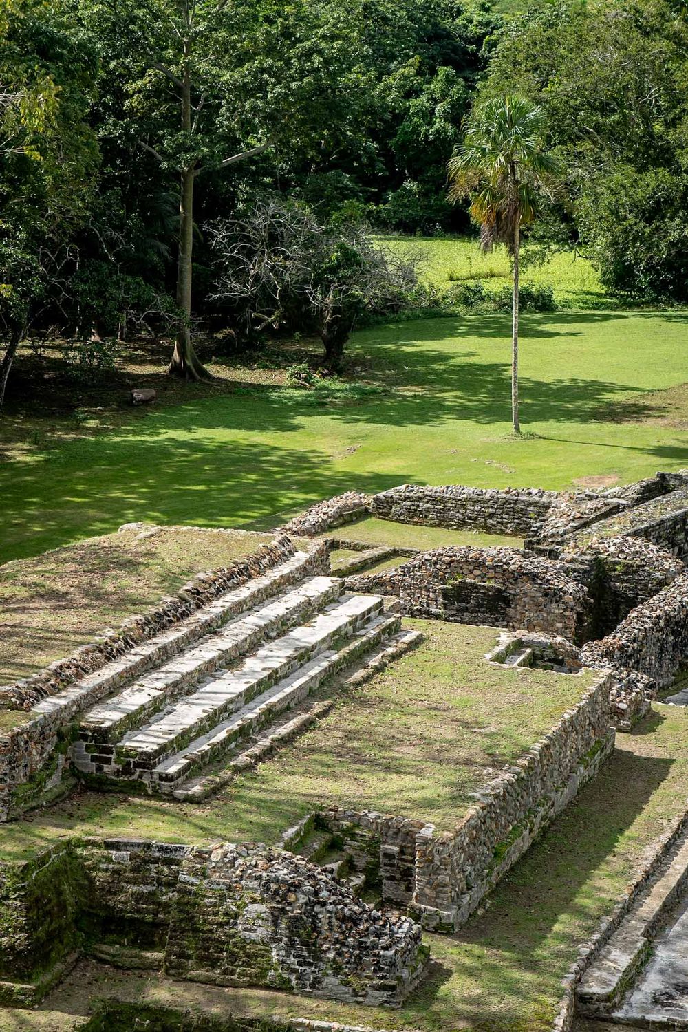 Ancient Mayan stone steps and terraces surrounded by lush green forest and grass.