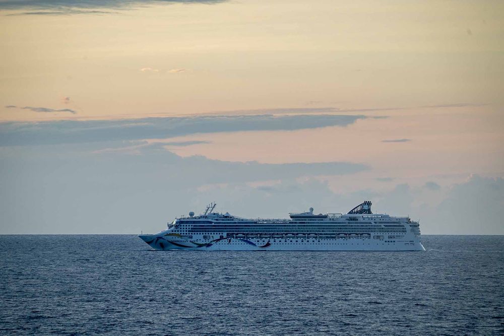 Silhouettes of cruise ships on the horizon against a pastel sunset sky over calm ocean waters.