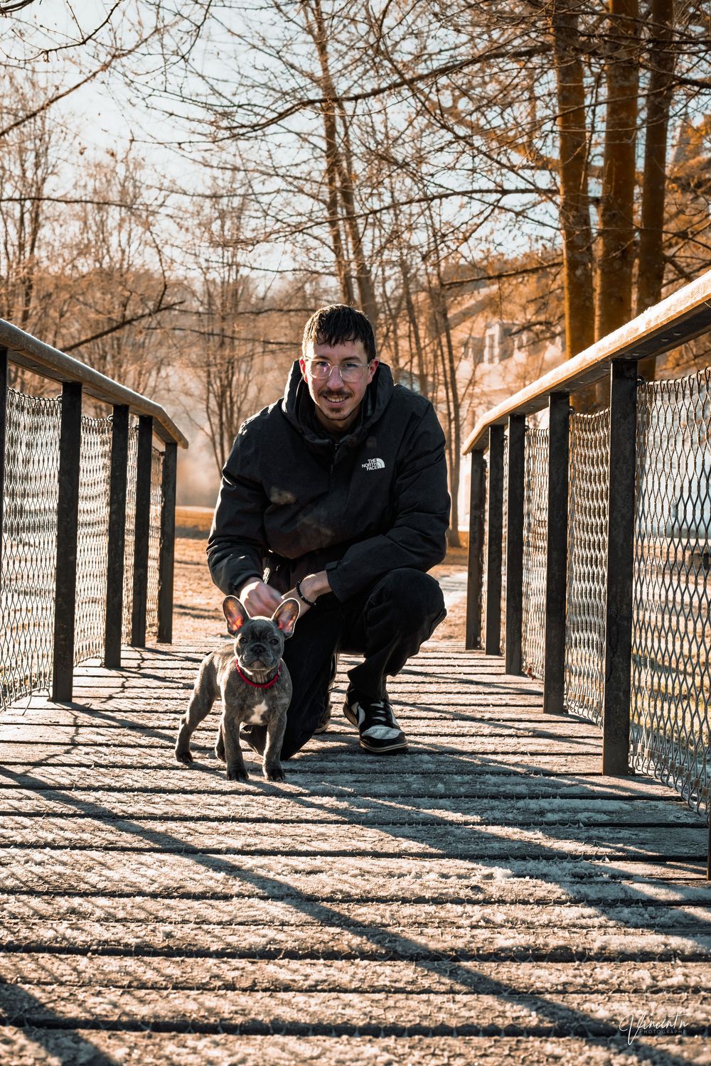 A dog and companion playing together on a wooden bridge with dramatic shadows cast by the railings.