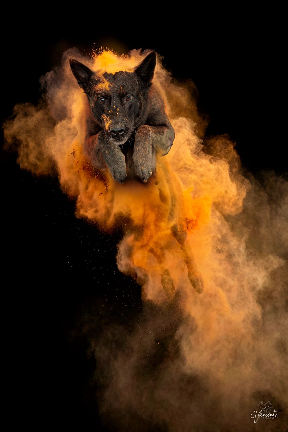 A dramatic series of photos showing a black cat emerging through orange smoke against a dark background.