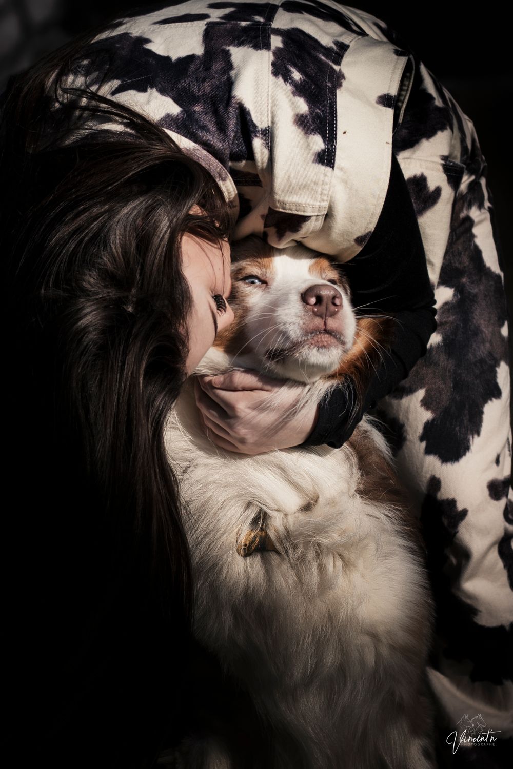 A black and white Australian Shepherd dog poses artistically in a series of moody studio portraits against dark background.