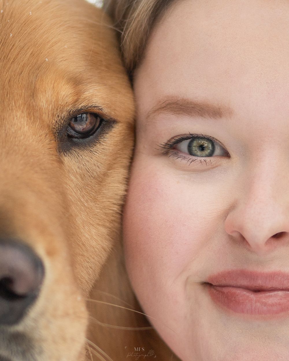 human-dog-photoshoot
dog-portrait-photoshoot