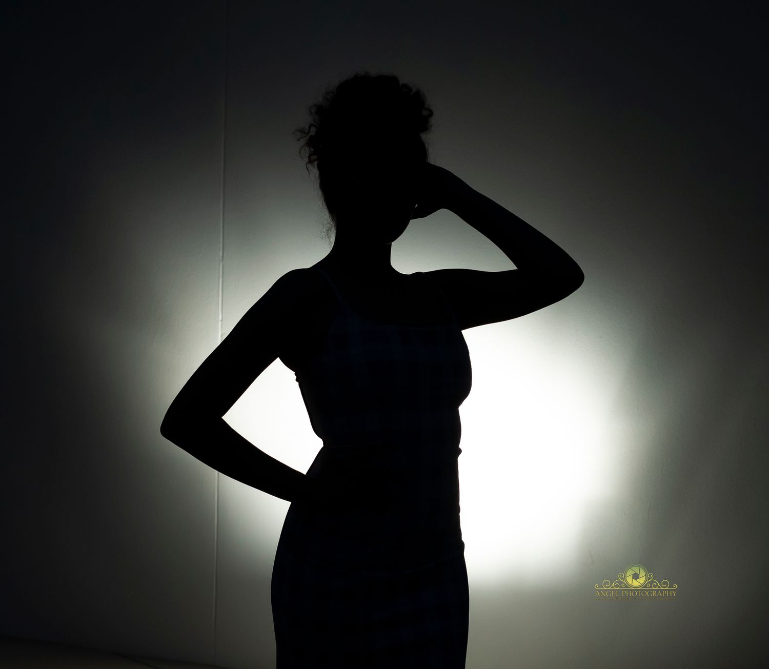 An artistic silhouette portrait against a backlit background.