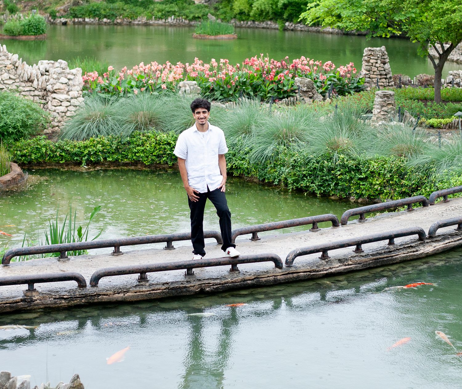 A person in white shirt stands on bridge over pond with koi fish and garden landscaping.