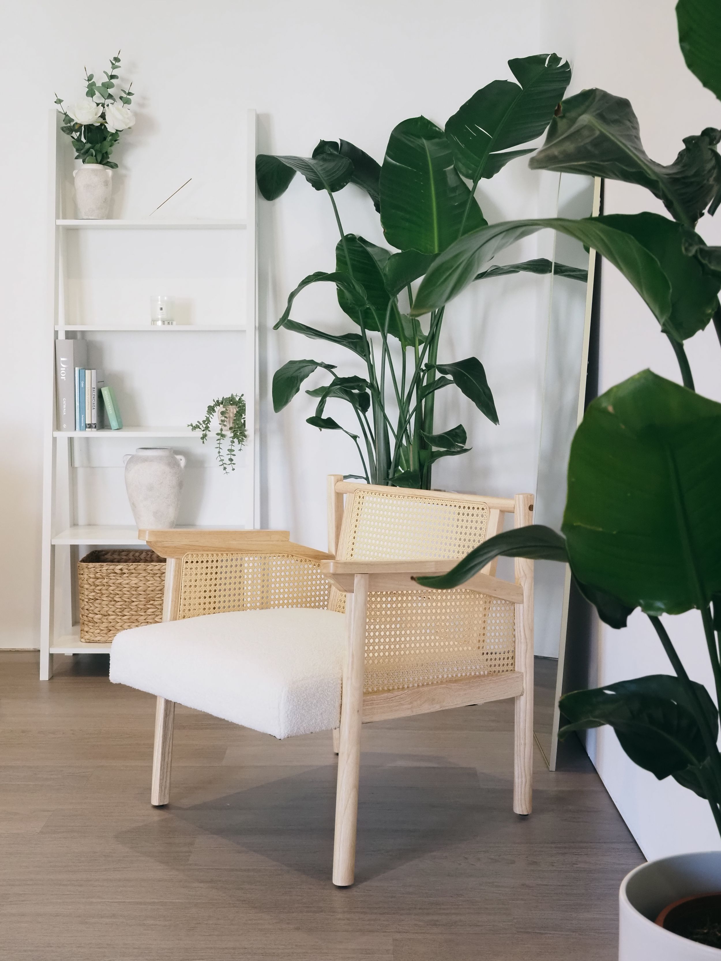 Modern minimalist living room with a cane accent chair, white ladder shelf and large tropical plants.