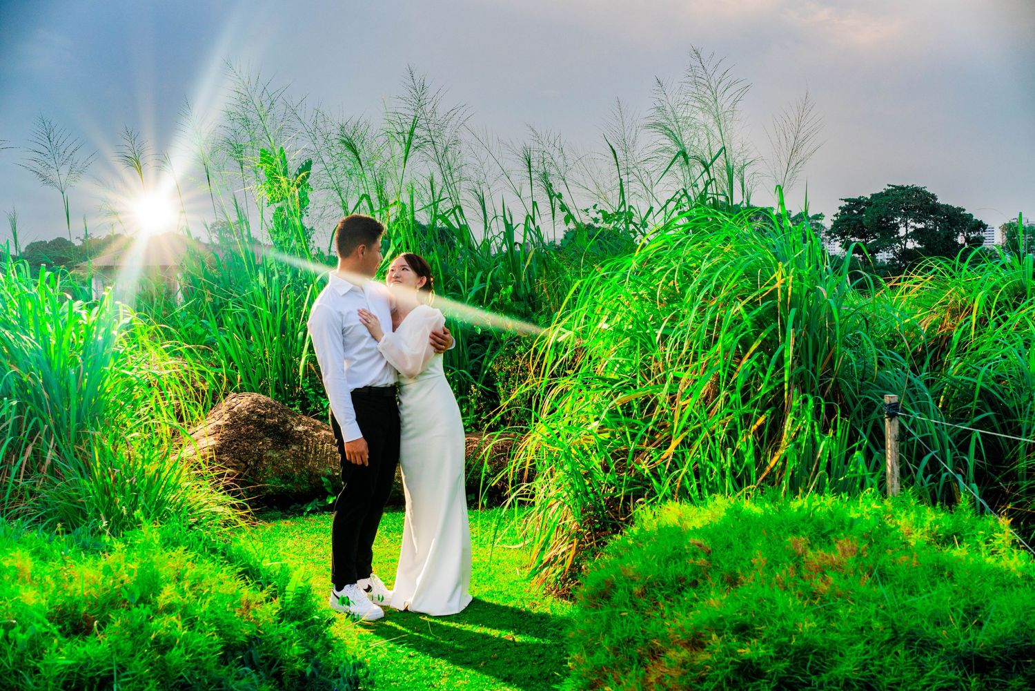 Romantic couple embraces in tall green grass at sunset with sunburst effect.