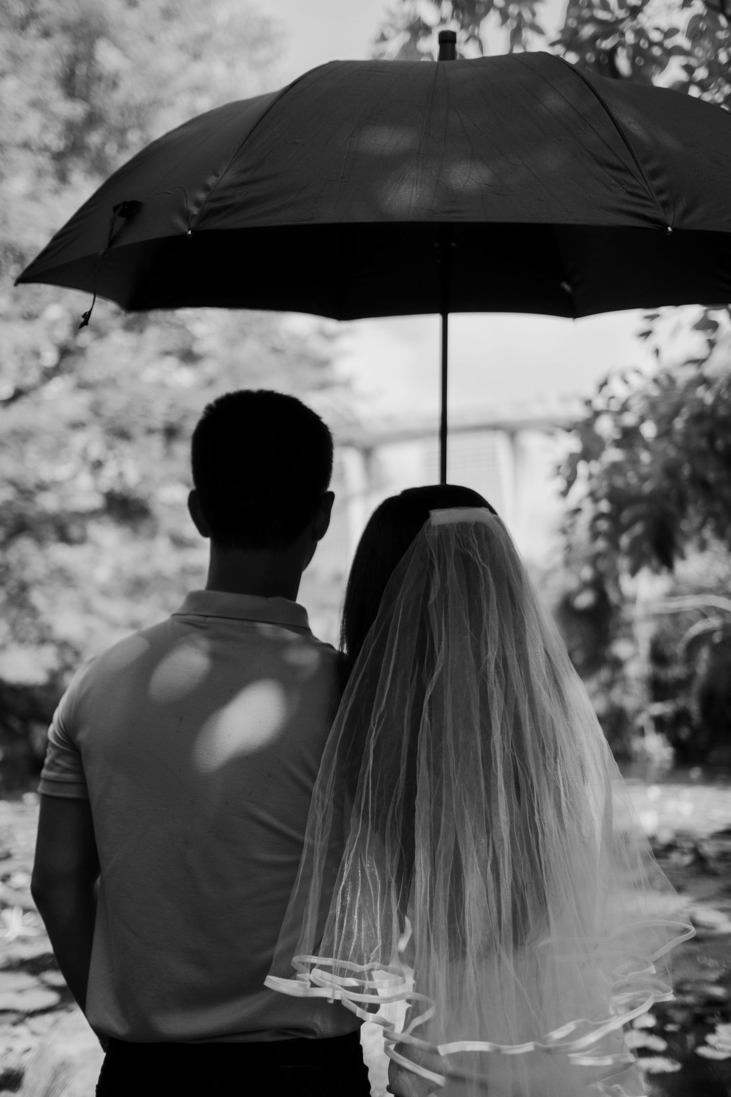 Silhouetted couple sharing a black umbrella in a romantic outdoor setting.