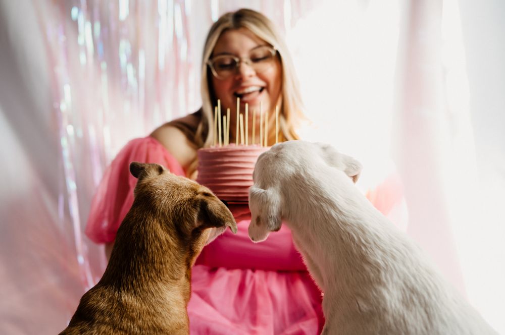 Person in pink dress celebrating with two dogs and birthday cake.